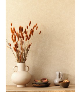 Papier peint Uni Mat CAPPUCINO Collection Céramique - CASELIO - Réf. CER105241223