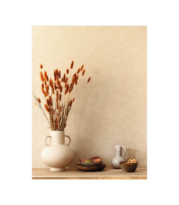 Papier peint Uni Mat CAPPUCINO Collection Céramique - CASELIO - Réf. CER105241223