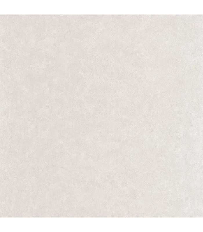 Papier peint Uni Mat TAUPE POUDRE Collection Céramique - CASELIO - Réf. CER105242000
