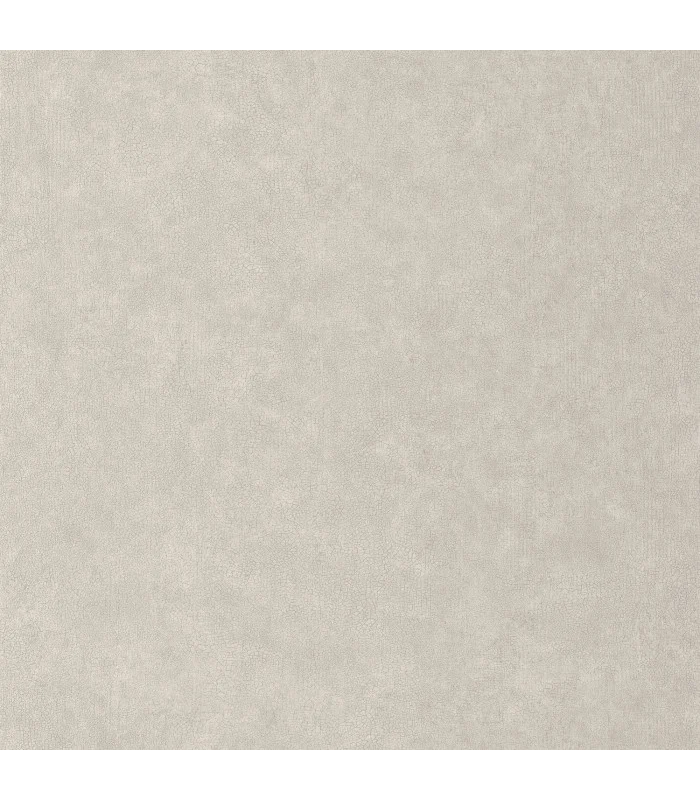 Papier peint Uni Mat TAUPE CLAIR Collection Céramique - CASELIO - Réf. CER105242139