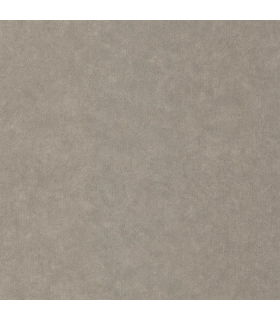 Papier peint Uni Mat TAUPE Collection Céramique - CASELIO - Réf. CER105242290