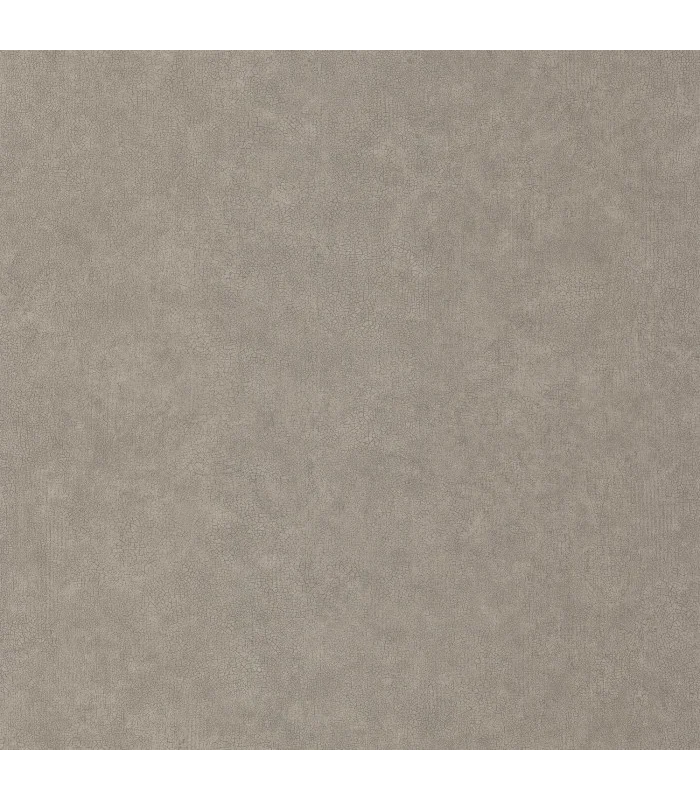 Papier peint Uni Mat TAUPE Collection Céramique - CASELIO - Réf. CER105242290