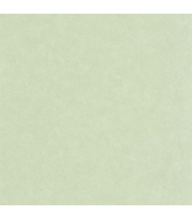 Papier peint Uni Mat VERT AMANDE Collection Céramique - CASELIO - Réf. CER105247360