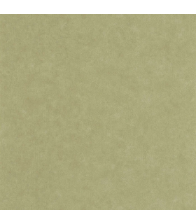 Papier peint Uni Mat VERT PISTACHE Collection Céramique - CASELIO - Réf. CER105247850