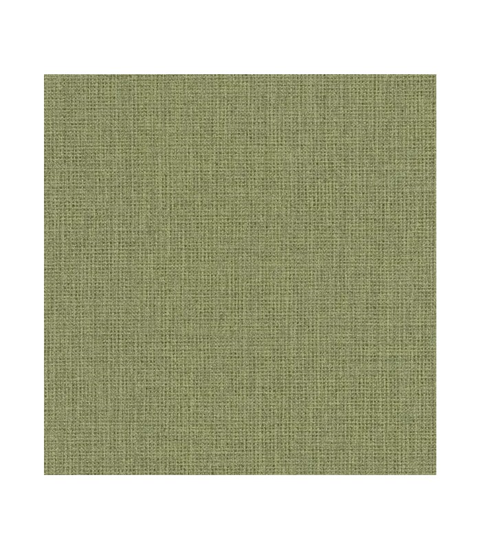 Papier peint Uni Mat Kaki - Collection Green Life 2 - CASELIO - Réf.  GNL2104017951