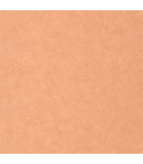 Papier peint Uni Mat TERRACOTTA Collection Céramique - CASELIO - Réf. CER105243030