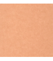 Papier peint Uni Mat TERRACOTTA Collection Céramique - CASELIO - Réf. CER105243030