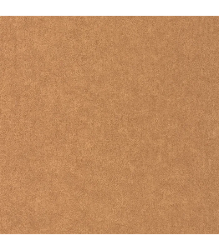 Papier peint Uni Mat ARGILE Collection Céramique - CASELIO - Réf. CER105243148