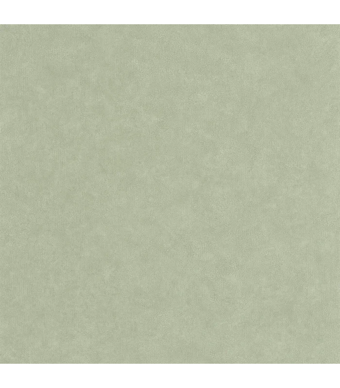 Papier peint Uni Mat SAUGE Collection Céramique - CASELIO - Réf. CER105247740