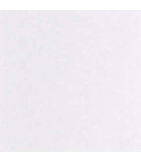 Papier peint Uni Mat GRIS PERLE Collection Céramique - CASELIO - Réf. CER105249110