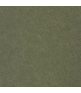 Papier peint Uni Métallisé KAKI DORE Collection Céramique - CASELIO - Réf. CER105257024