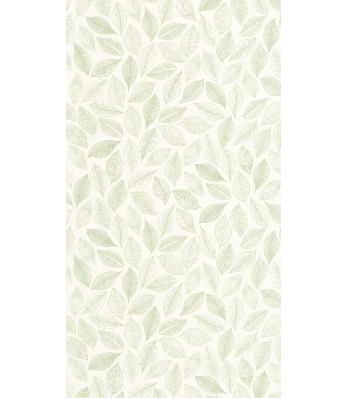 Papier peint Bliss Blanc et Vert mousse - Collection Green Life 2 - CASELIO - Réf.  GNL2105380755