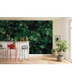 Panoramique Tropical Wall - Collection Pure 2 - KOMAR - REF P333-VD4  - 400x250CM