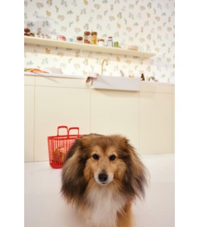 Papier peint Luck Multicouleurs - Collection Green Life 2 - CASELIO - Réf.  GNL2105370251