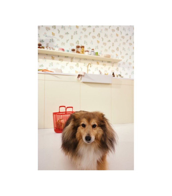 Papier peint Luck Multicouleurs - Collection Green Life 2 - CASELIO - Réf.  GNL2105370251