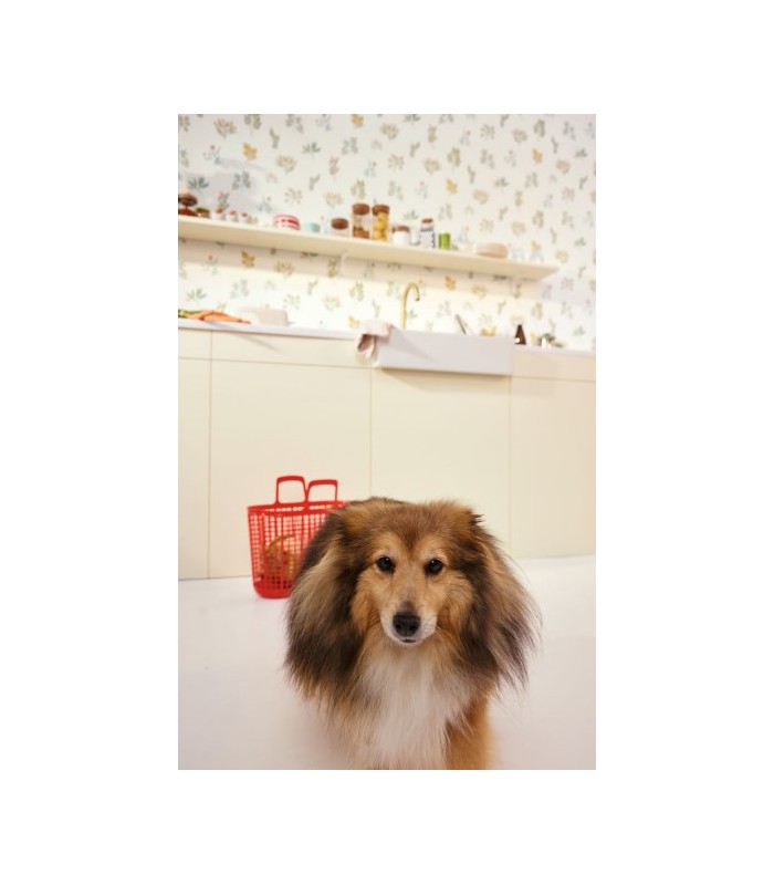 Papier peint Luck Vert d'Eau - Collection Green Life 2 - CASELIO - Réf.  GNL2105370721