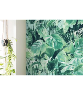 Panoramique Evergreen - Collection Pure 2 - KOMAR - REF P023-VD2  - 200x250CM