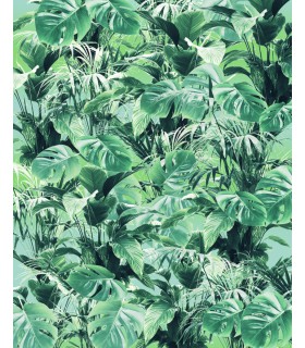 Panoramique Evergreen - Collection Pure 2 - KOMAR - REF P023-VD2  - 200x250CM