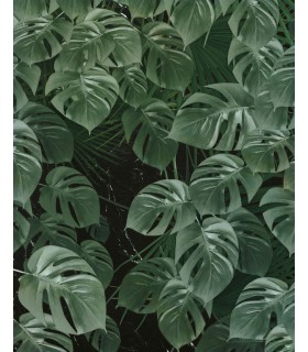Panoramique Monstera On Marble - Collection Pure 2 - KOMAR - REF P035-VD2  - 200x250CM