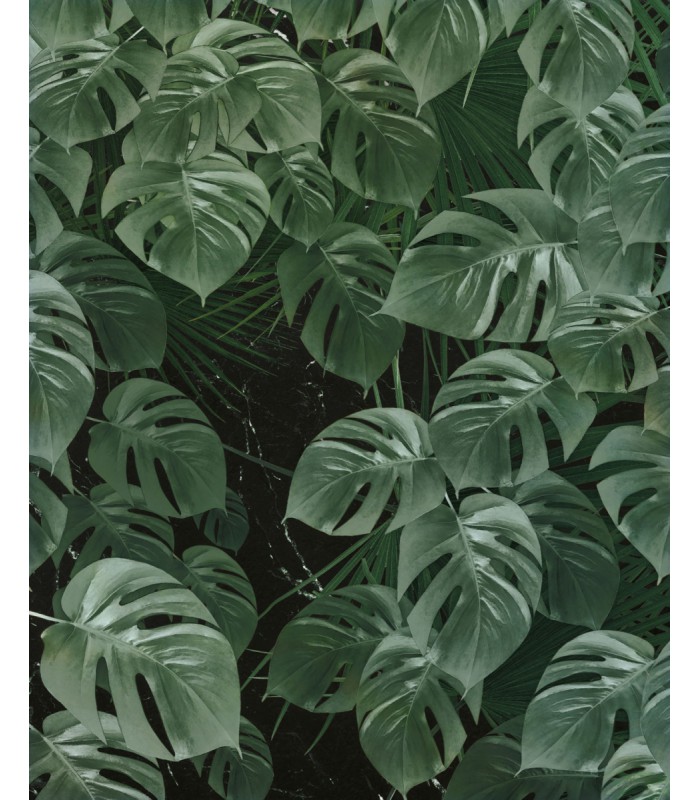 Panoramique Monstera On Marble - Collection Pure 2 - KOMAR - REF P035-VD2  - 200x250CM