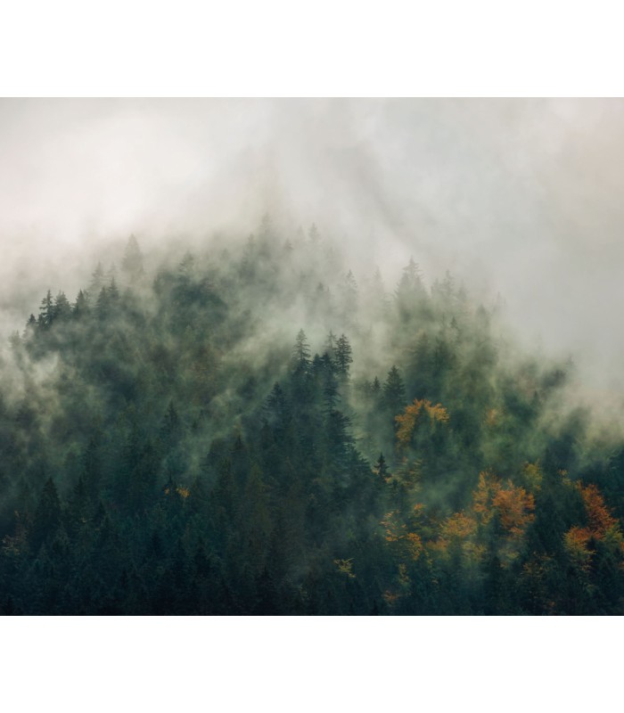 Panoramique Tales Of The Carpathians - Collection Pure 2 - KOMAR - REF PSH036-VD3  - 300x250CM