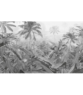 Panoramique Amazon Black And White - Collection Pure 2 - KOMAR - REF P013-VD4  - 400x250CM