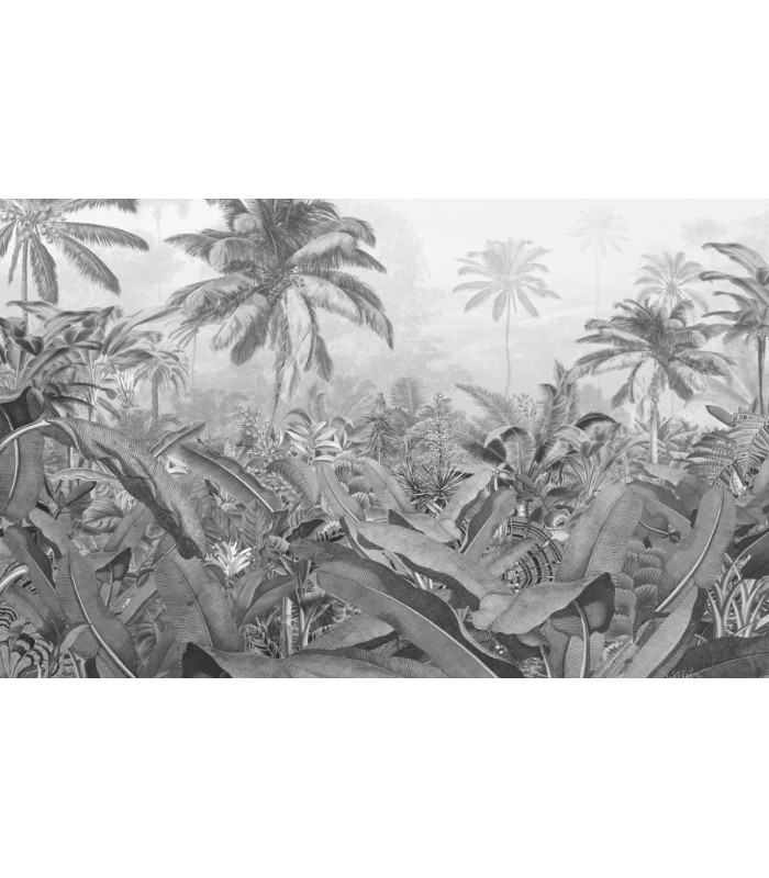 Panoramique Amazon Black And White - Collection Pure 2 - KOMAR - REF P013-VD4  - 400x250CM