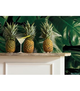 Panoramique Tropical Wall - Collection Pure 2 - KOMAR - REF P333-VD4  - 400x250CM