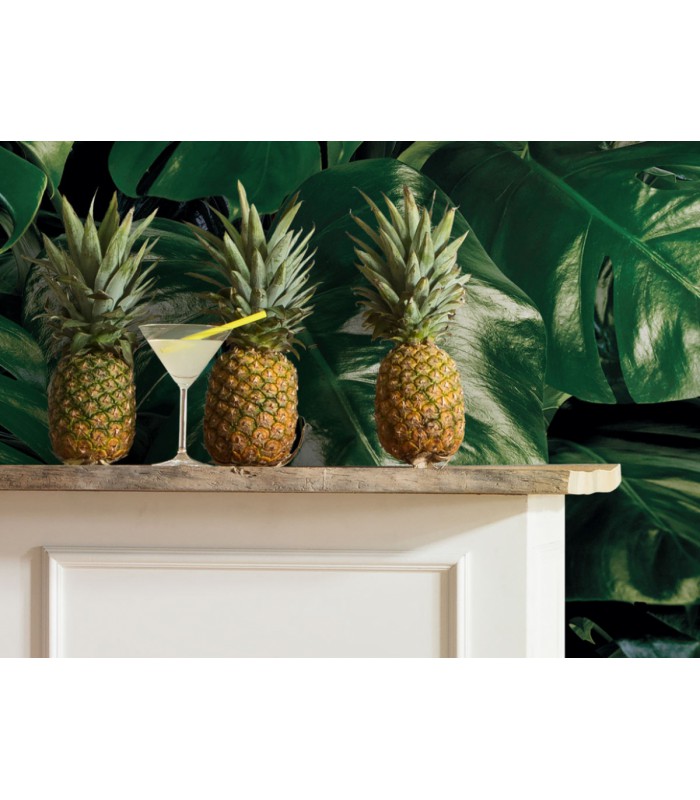 Panoramique Tropical Wall - Collection Pure 2 - KOMAR - REF P333-VD4  - 400x250CM