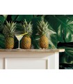 Panoramique Tropical Wall - Collection Pure 2 - KOMAR - REF P333-VD4  - 400x250CM
