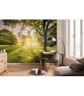 Panoramique Golden Moment - Collection Pure 2 - KOMAR - REF PSH054-VD4  - 400x250CM