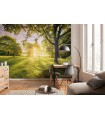 Panoramique Golden Moment - Collection Pure 2 - KOMAR - REF PSH054-VD4  - 400x250CM