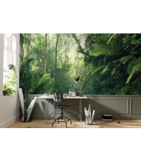 Panoramique Tropenwelten - Collection Pure 2 - KOMAR - REF PSH098-VD5  - 500x250CM