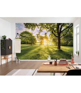 Panoramique Golden Moment - Collection Pure 2 - KOMAR - REF PSH054-VD4  - 400x250CM