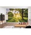 Panoramique Golden Moment - Collection Pure 2 - KOMAR - REF PSH054-VD4  - 400x250CM