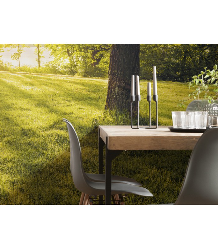 Panoramique Golden Moment - Collection Pure 2 - KOMAR - REF PSH054-VD4  - 400x250CM