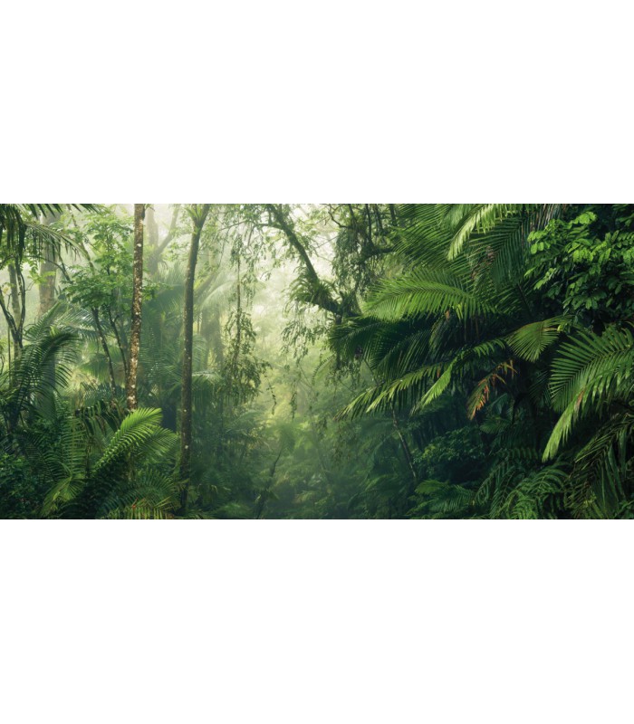 Panoramique Tropenwelten - Collection Pure 2 - KOMAR - REF PSH098-VD5  - 500x250CM