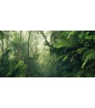 Panoramique Tropenwelten - Collection Pure 2 - KOMAR - REF PSH098-VD5  - 500x250CM
