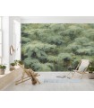 Panoramique Jungle Lands - Collection Pure 2 - KOMAR - REF PSH106-VD4  - 400x250CM