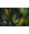 Panoramique Amazon Fern - Collection Pure 2 - KOMAR - REF PSH109-VD4  - 400x250CM
