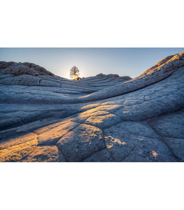 Panoramique Elephant Skin - Collection Pure 2 - KOMAR - REF PSH104-VD4  - 400x250CM