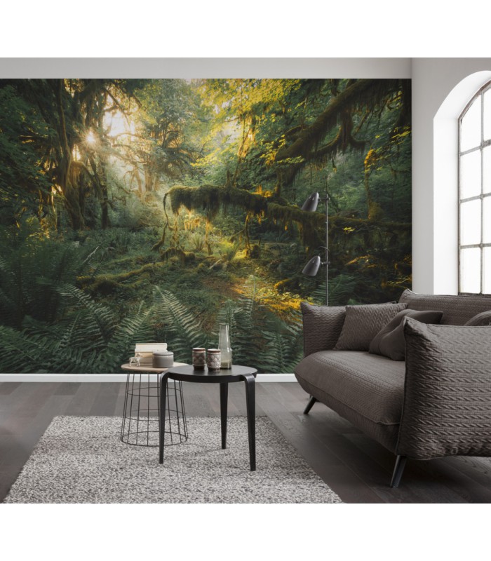 Panoramique Hall of Mosses - Collection Pure 2 - KOMAR - REF PSH103-VD4  - 400x250CM