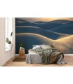 Panoramique Body Lines - Collection Pure 2 - KOMAR - REF PSH105-VD5  - 500x250CM