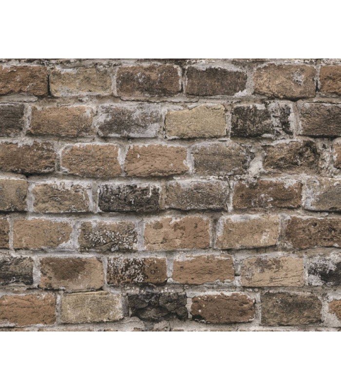 Papier Peint Référence 1960060 - Collection ELEMENTS 2 - AS CREATION