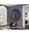 Panoramique MURALS - QUEEN OF NIGHT - Erismann - 2556N-72 - 1,40m de diamètre