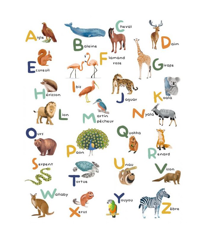 Panoramique APPRENONS L ALPHABET MULTICOULEURS S 200x250 - Collection LES MINIS MONDES - CASELIO - Réf. MNM105672305