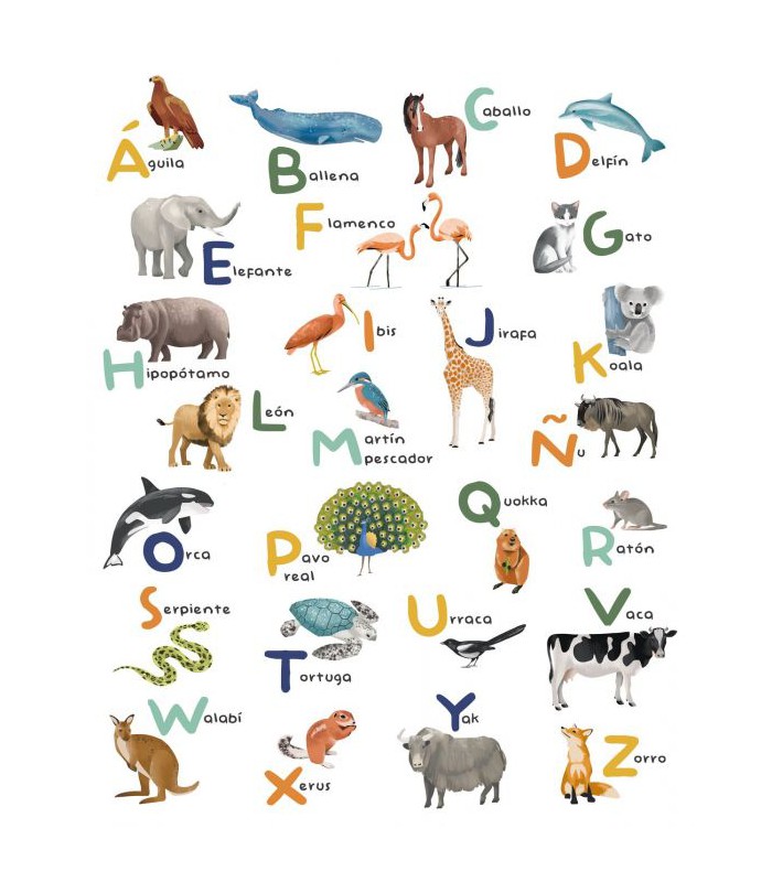 Panoramique APRENDEMOS EL ALFABETO MULTICOULEURS S 200x250 - Collection LES MINIS MONDES - CASELIO - Réf. MNM105863405