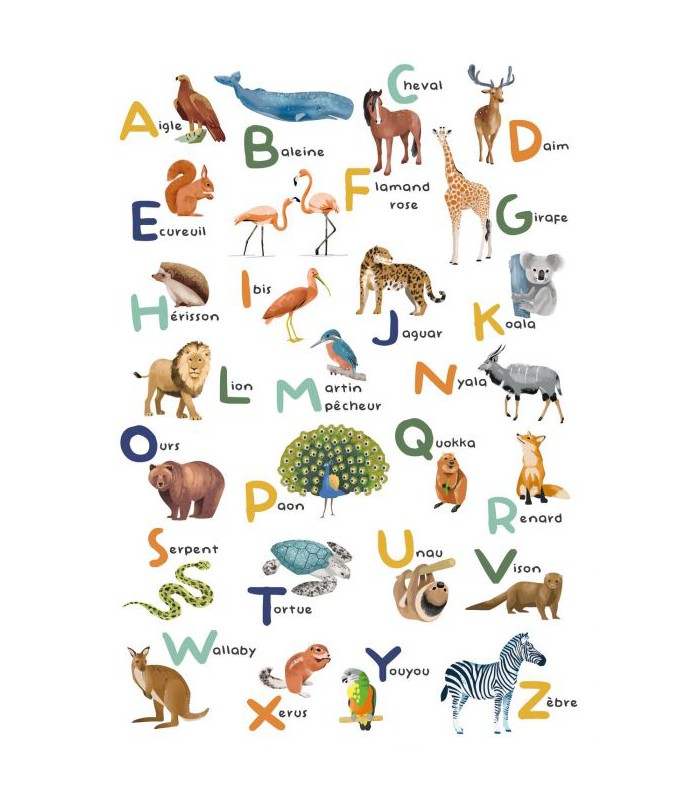 Panoramique APPRENONS L ALPHABET MULTICOULEURS M 200x280 - Collection LES MINIS MONDES - CASELIO - Réf. MNM105672303