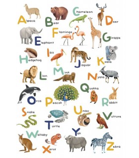 Panoramique LET S LEARN THE ALPHABET MULTICOULEURS M 200x280 - Collection LES MINIS MONDES - CASELIO - Réf. MNM105857003