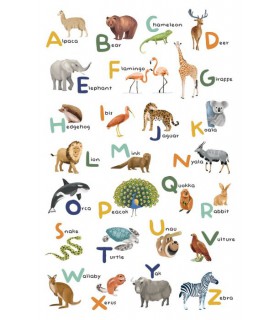 Panoramique LET S LEARN THE ALPHABET MULTICOULEURS L 200x310 - Collection LES MINIS MONDES - CASELIO - Réf. MNM105857004